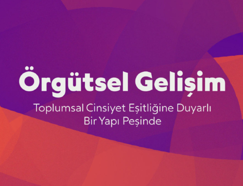 Toplumsal Cinsiyet Eşitliğine Duyarlı Bir Yapı Peşinde Örgütsel Gelişim