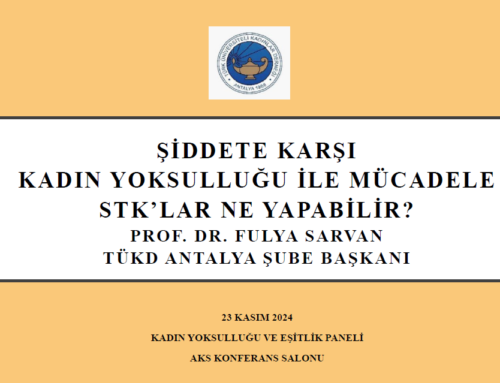 Şiddete Karşı Kadın Yoksulluğu ile Mücadele STK’lar Ne Yapabilir?